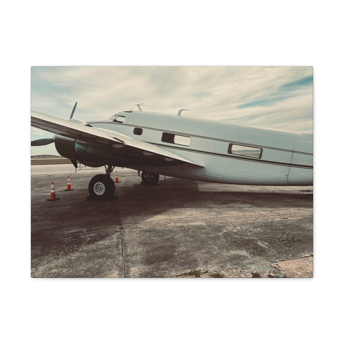 PhotoArt Collection, "Resting Beauty"