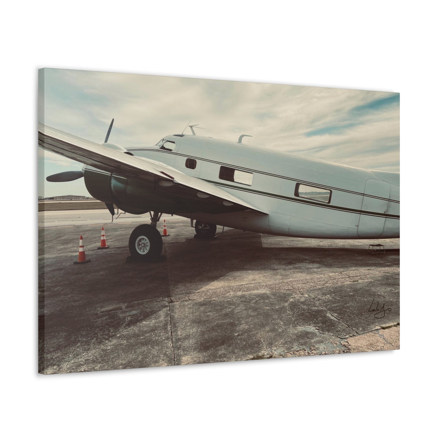 PhotoArt Collection, "Resting Beauty"
