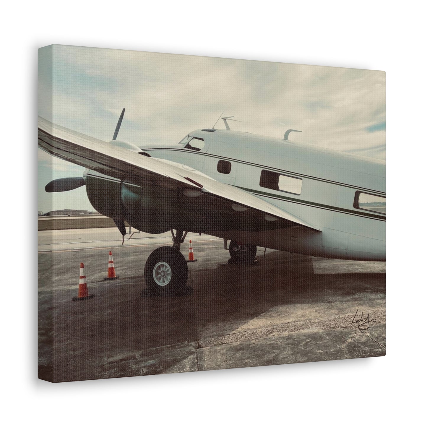 PhotoArt Collection, "Resting Beauty"