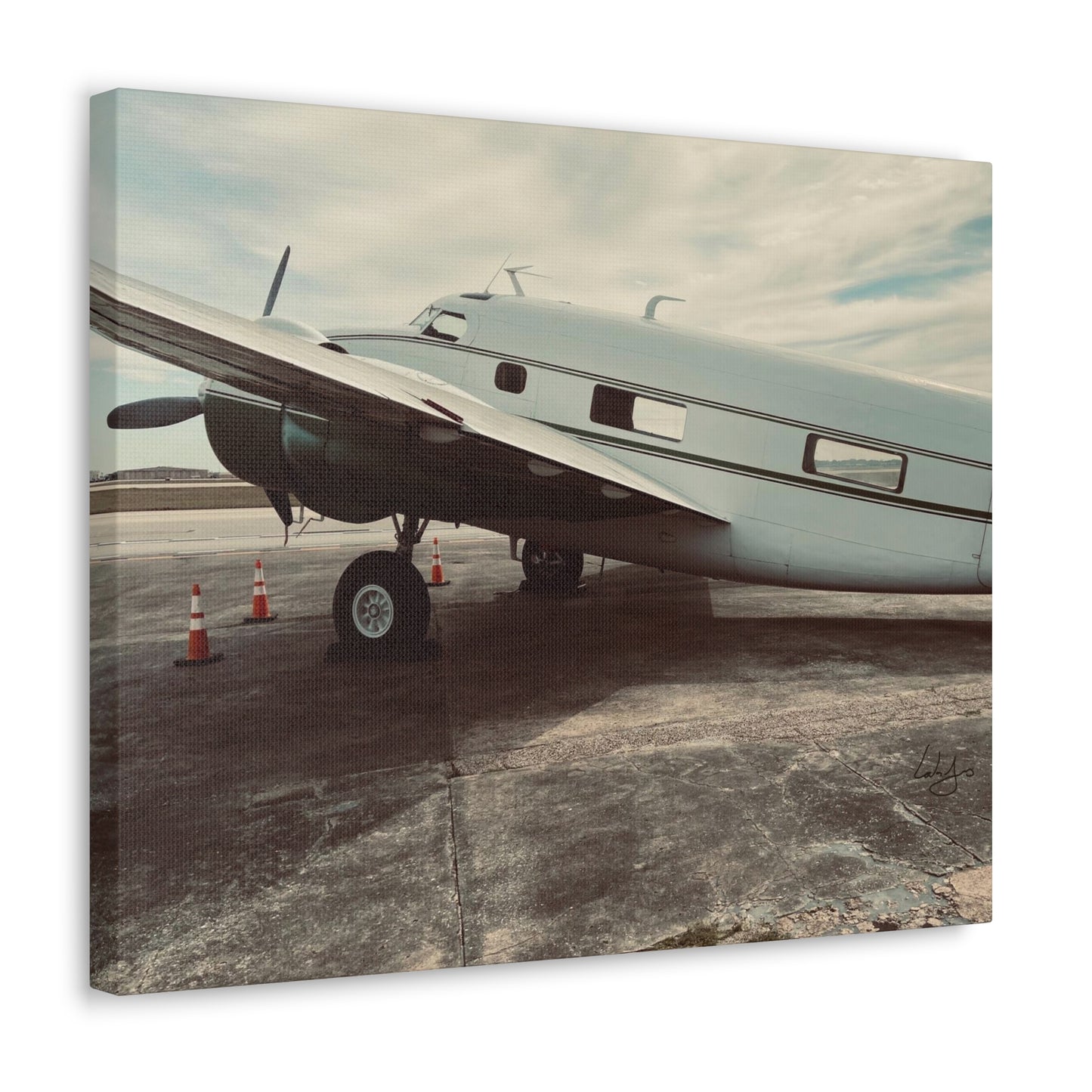 PhotoArt Collection, "Resting Beauty"