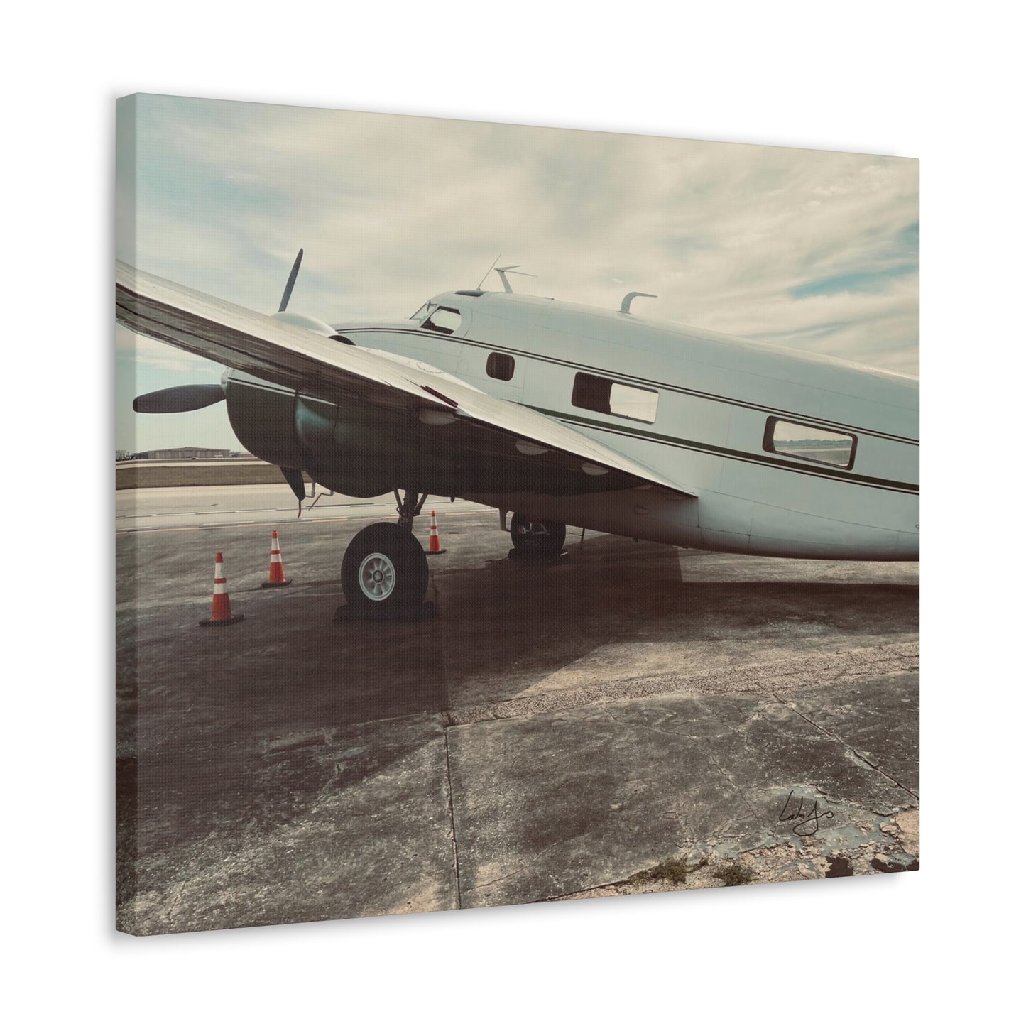 PhotoArt Collection, "Resting Beauty"