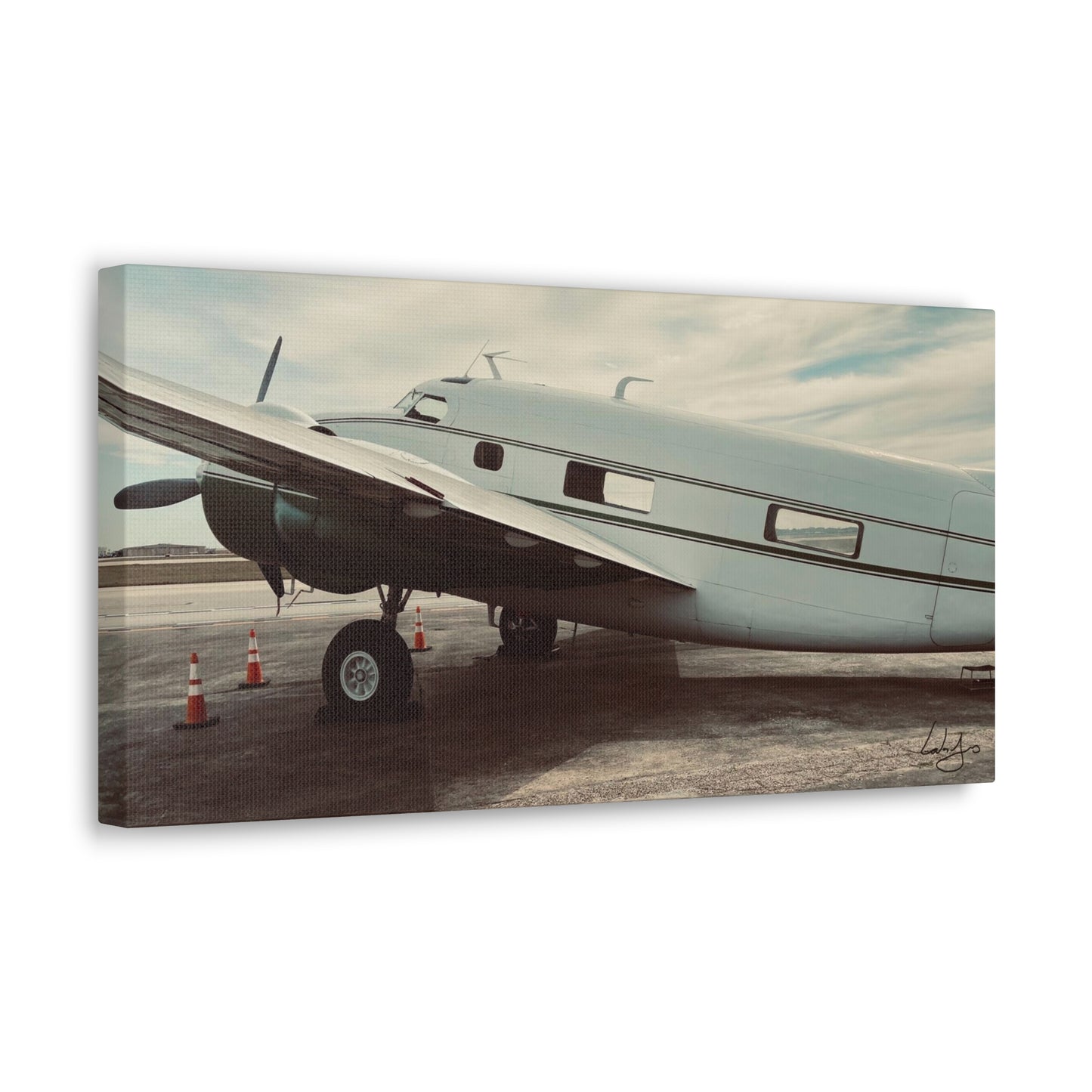 PhotoArt Collection, "Resting Beauty"