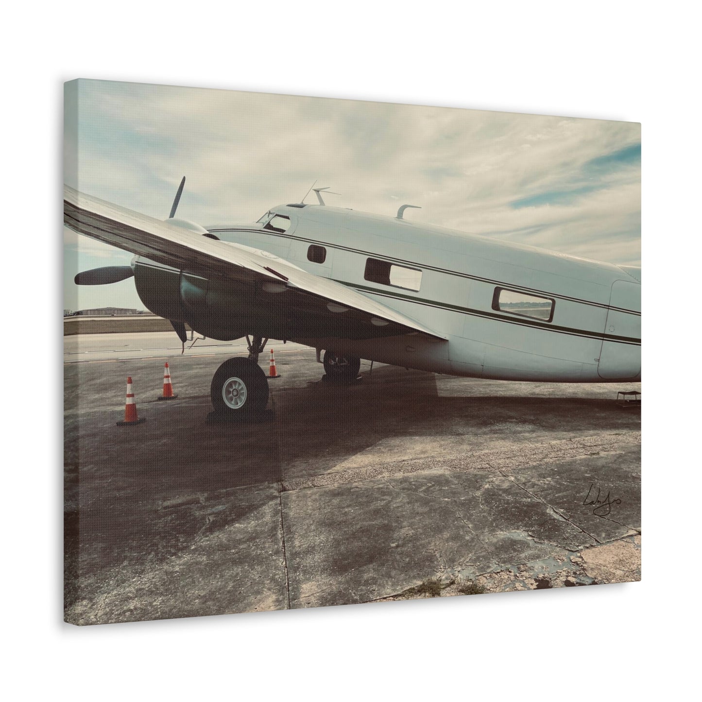PhotoArt Collection, "Resting Beauty"