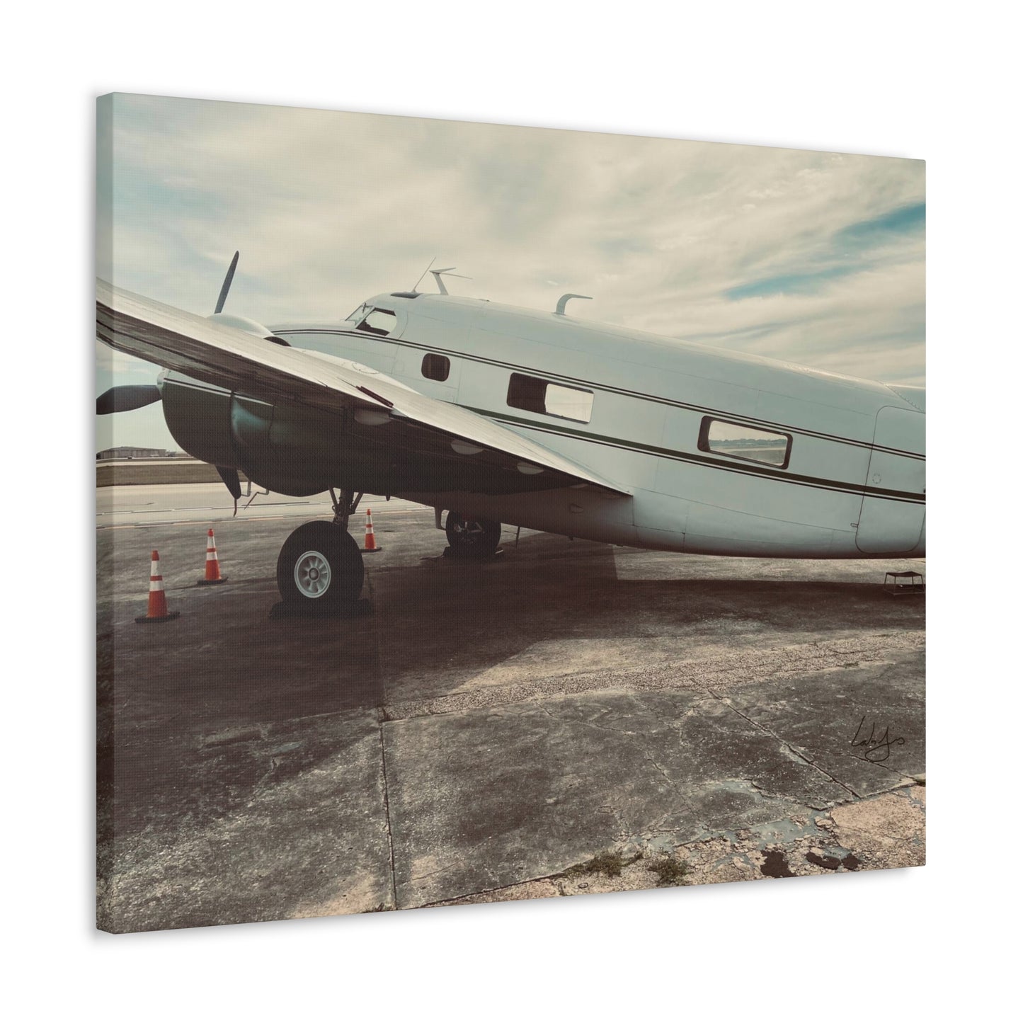 PhotoArt Collection, "Resting Beauty"