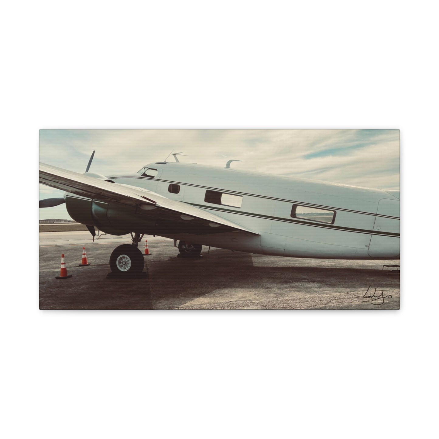 PhotoArt Collection, "Resting Beauty"