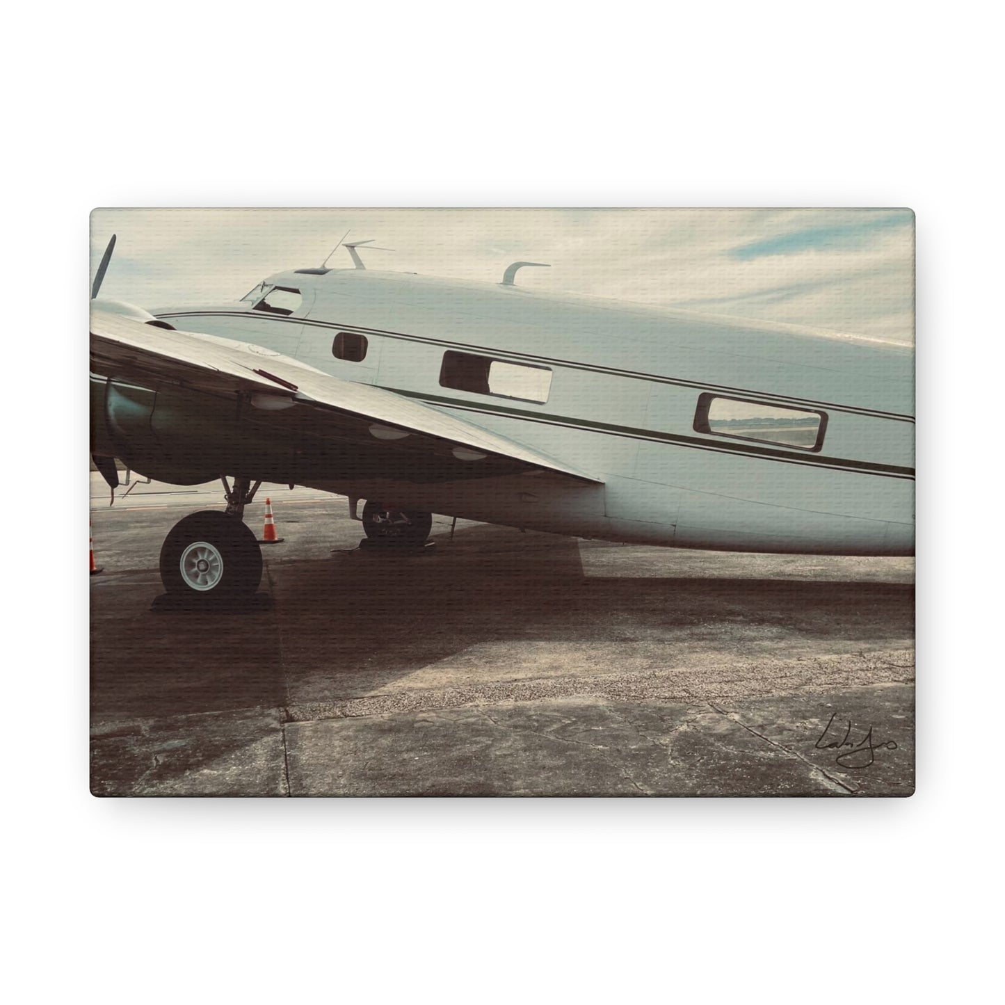 PhotoArt Collection, "Resting Beauty"