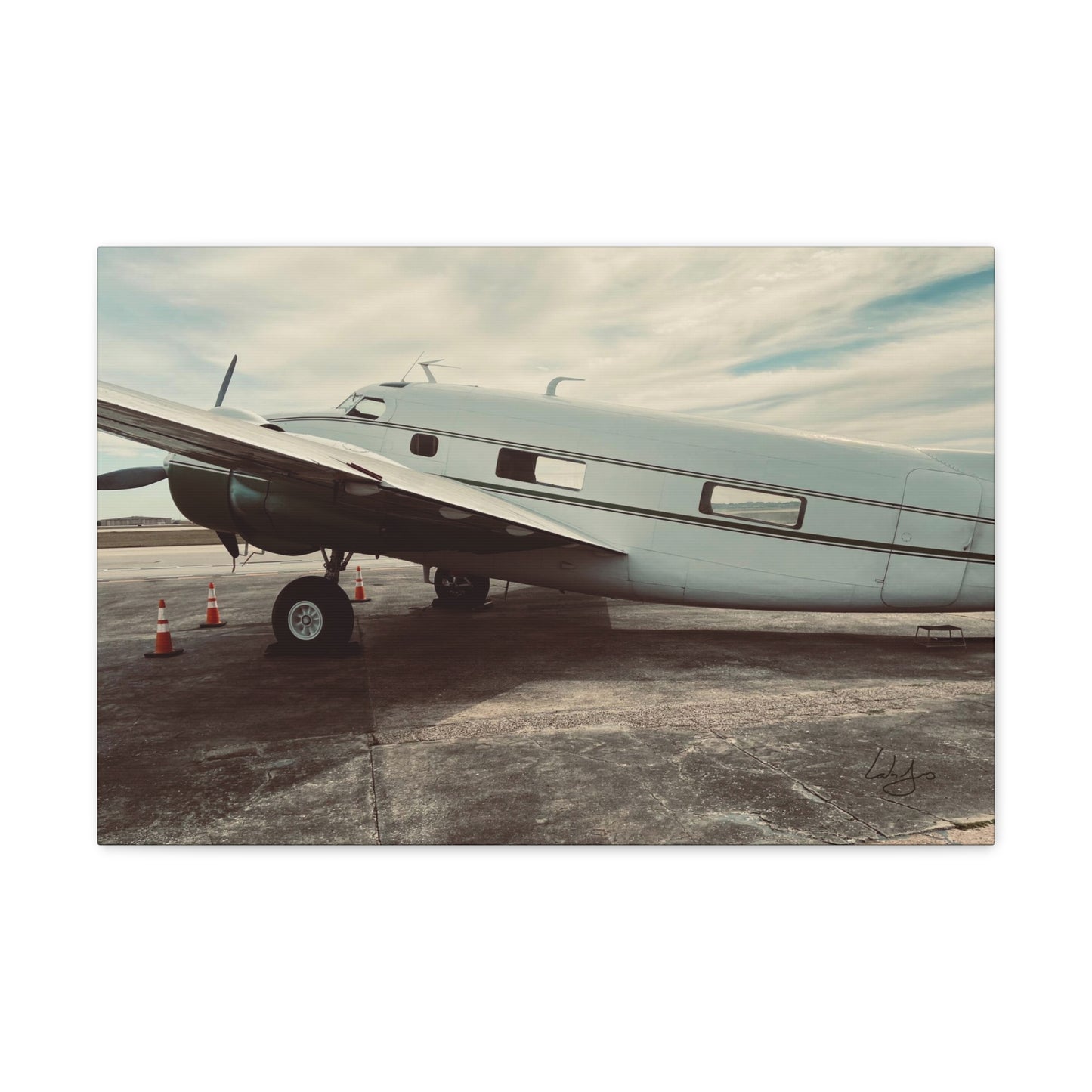 PhotoArt Collection, "Resting Beauty"