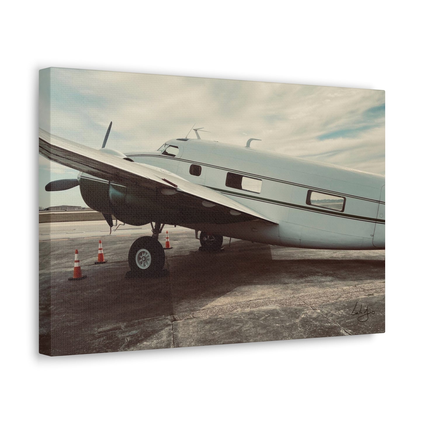 PhotoArt Collection, "Resting Beauty"